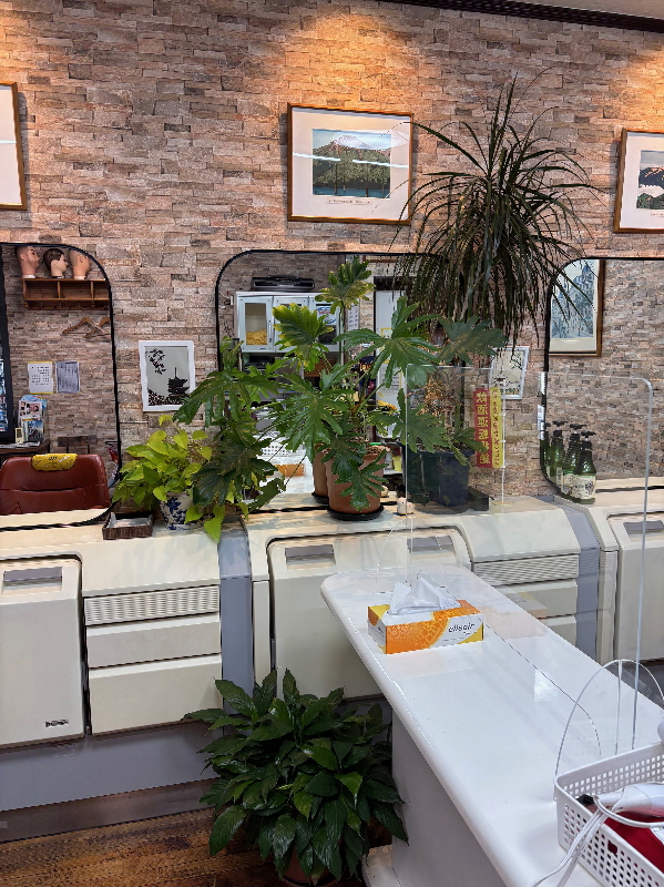 店ポトス画像