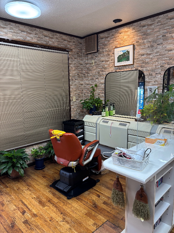 店スパティラム/ポトス画像