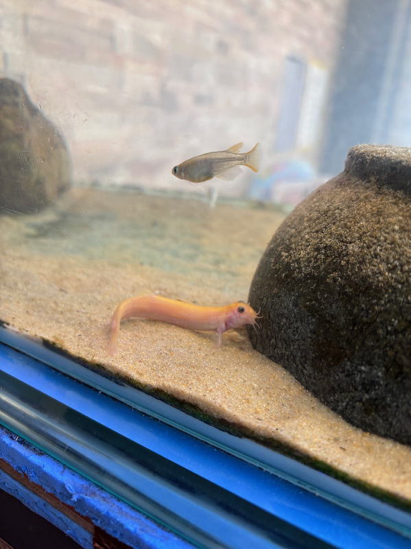 店内水槽01画像