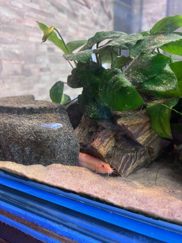 店内水槽03画像