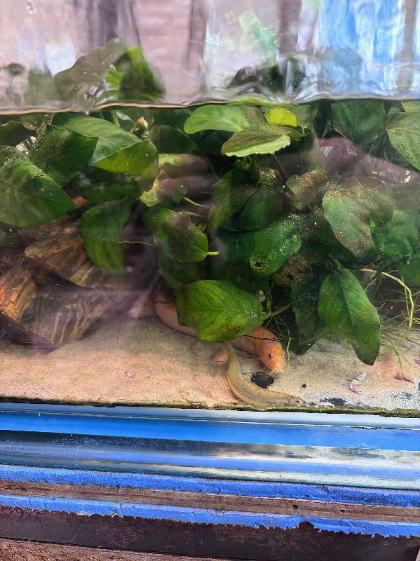 店内水槽05画像