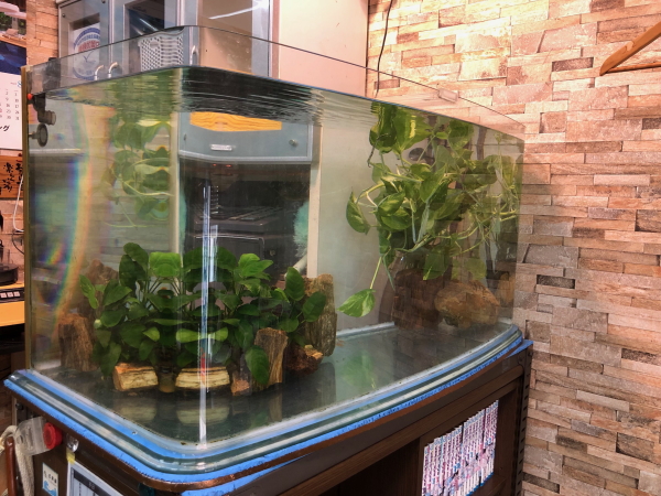店水槽画像