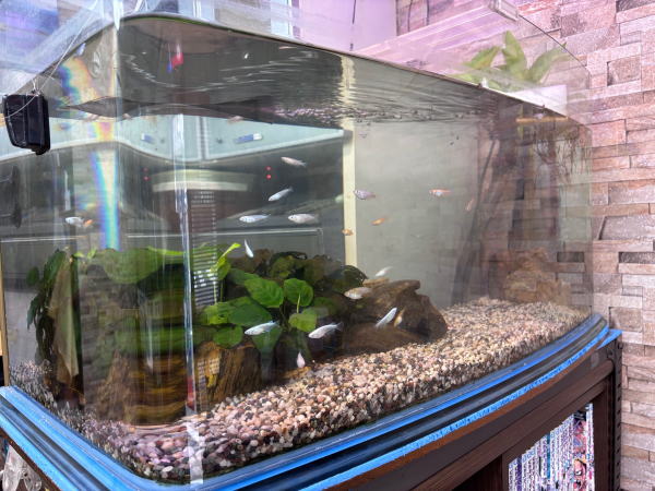 suisou20260322更新